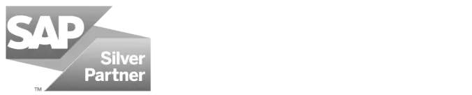 sap & microsoft partner